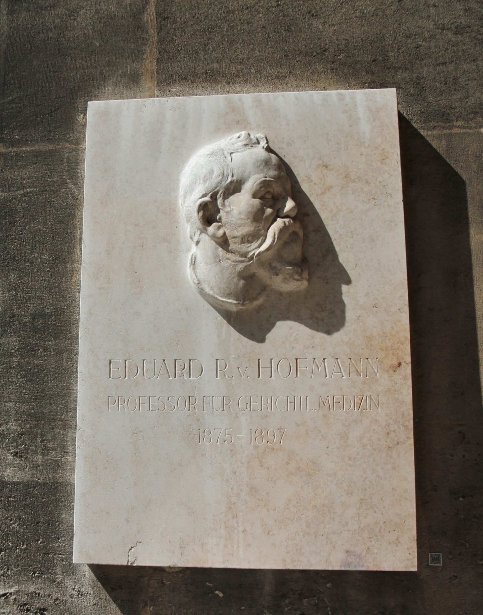 Eduard von Hofmann, Medical monuments B, UNI Vienna.jpg
